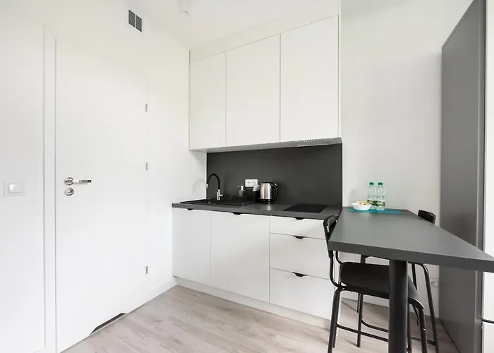 公寓 Wola Comfort #3 By Bookinghost 华沙